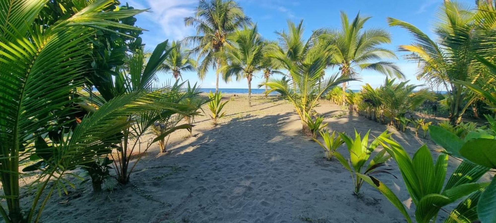 Hotel Playa Westfalia Puerto Limon Bagian luar foto