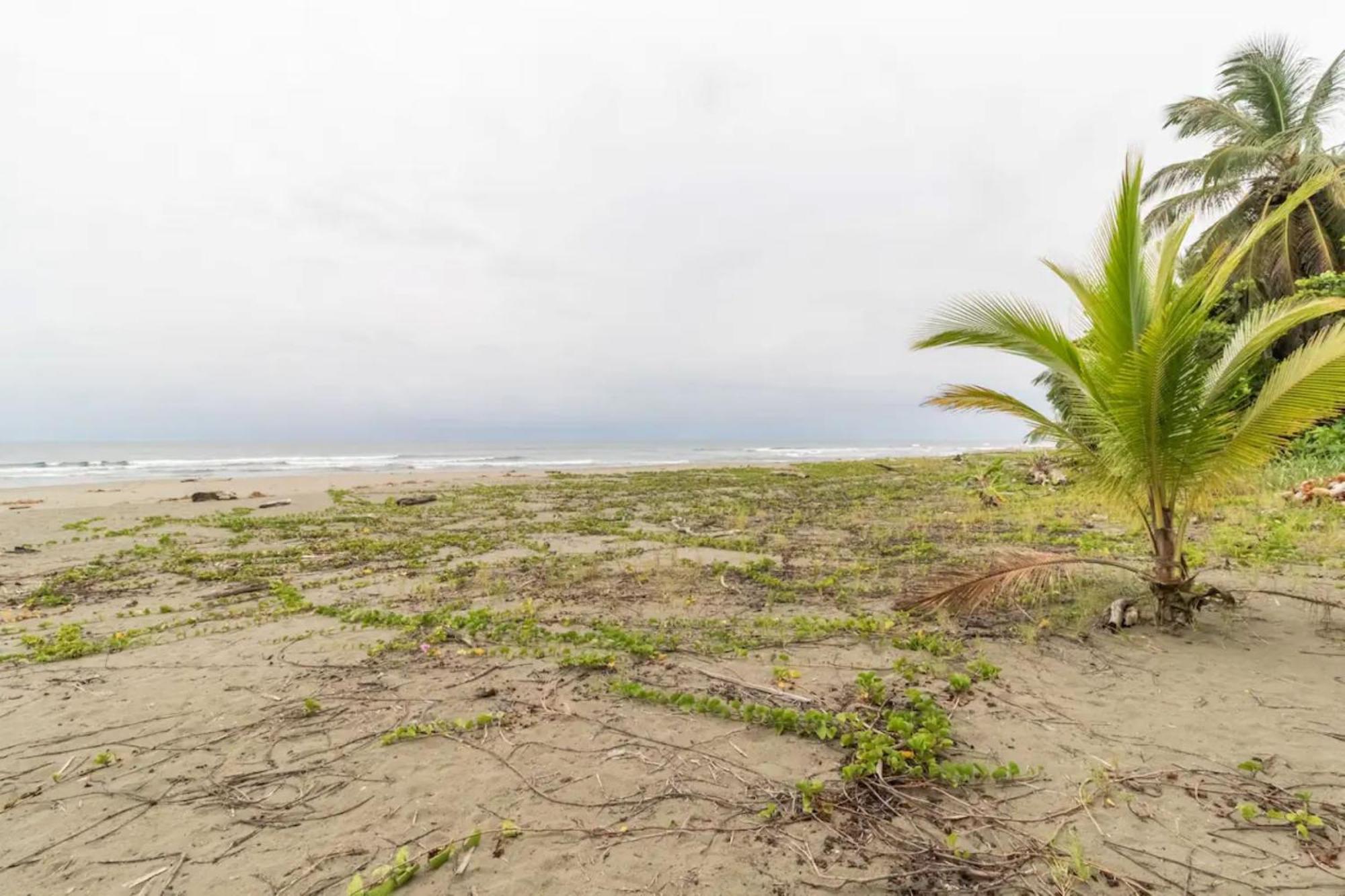 Hotel Playa Westfalia Puerto Limon Bagian luar foto